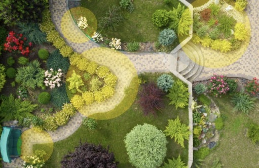 garden 2.jpg