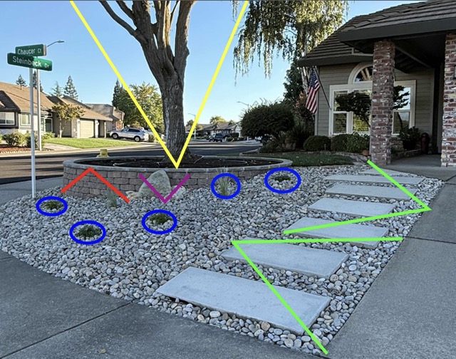 IMG_9827 Medium.jpeg