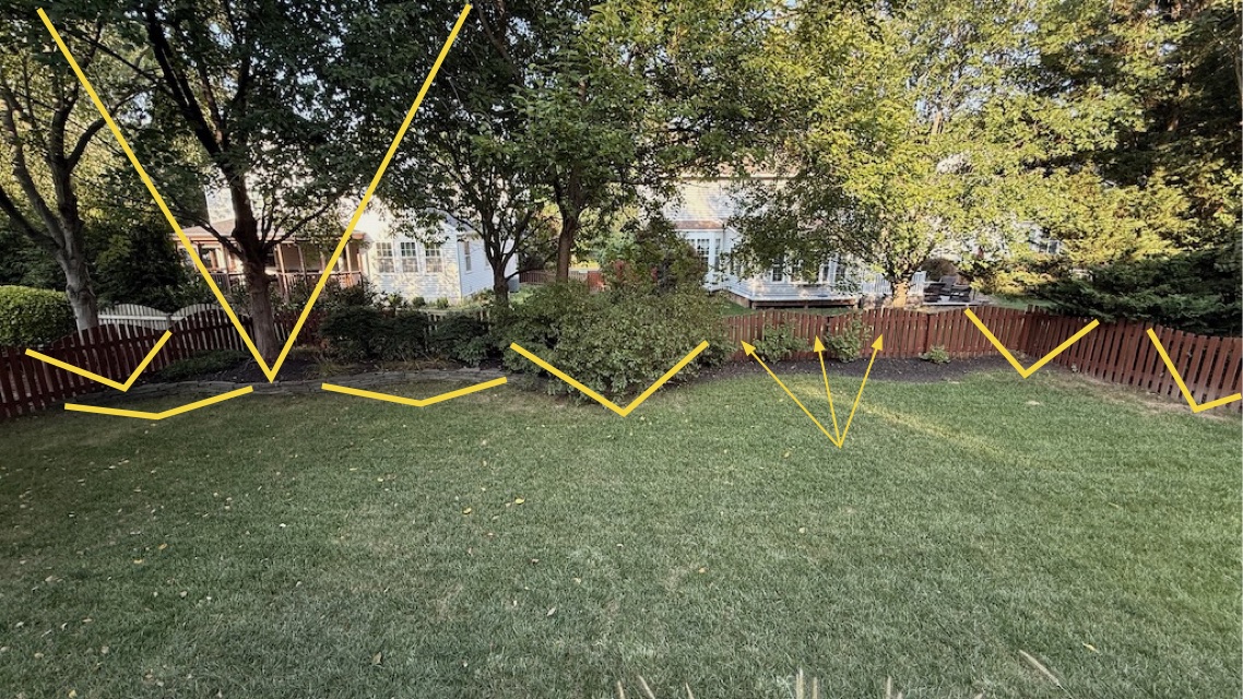nova yard.jpg