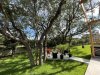 3_oak trees_firepit_ looking to back right trees.jpg