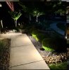 IMG_3164.jpeg