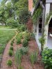IMG_4379 (1).jpeg